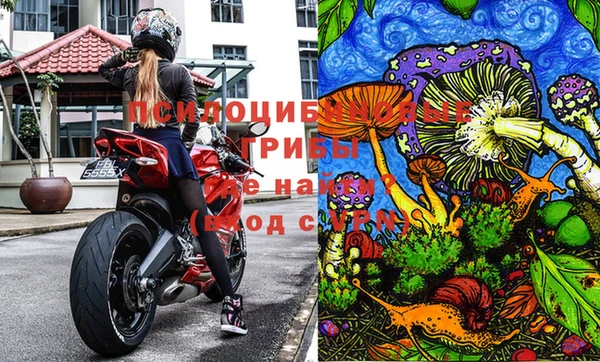 2c-b Волосово