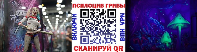 Купить закладки Кудымкар Галлюциногенные грибы Psilocybine cubensis